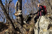 Sentiero partigiano 'Martiri della libert脿' Cornalba-Baita Cascinetto ad anello (21 genn. 2019)- FOTOGALLERY